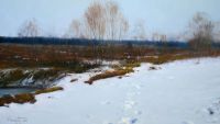Wladimir  VILENCHYTS - obrazy - Pejzaż zimowy