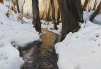 Aleksander  ŻYWIECKI - obrazy - Zimowy strumień