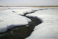 Aleksander  ŻYWIECKI - Zimowy strumień